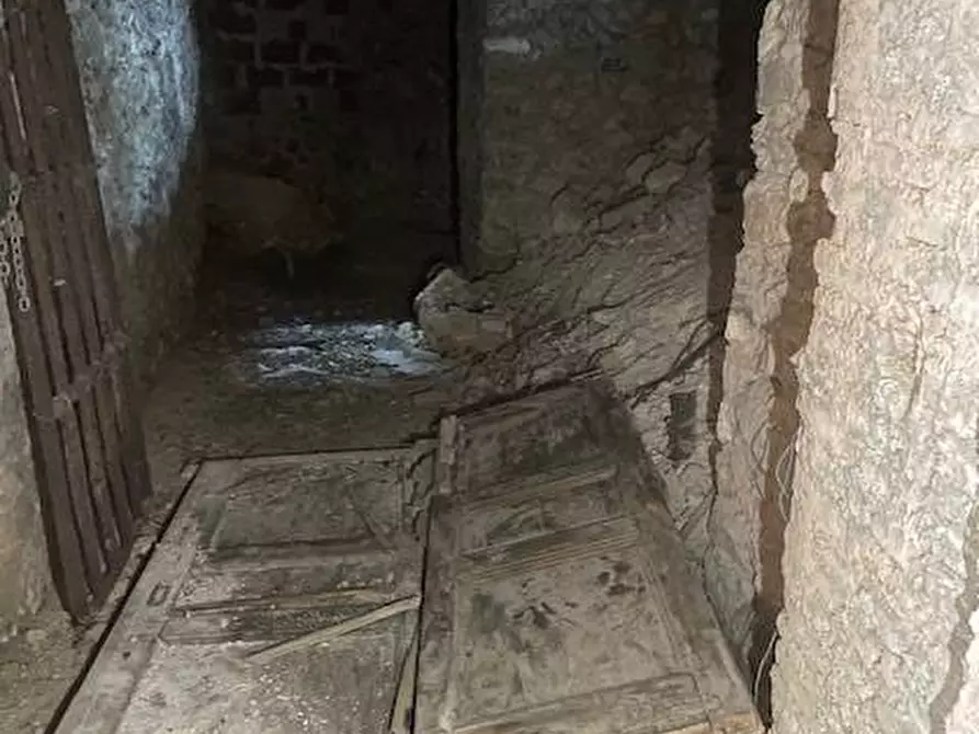 Immagine 6 di Cantina in vendita  in Forte La Rocca snc a Monte Argentario