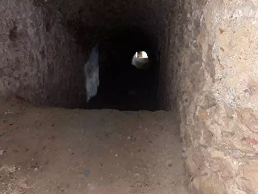 Immagine 10 di Cantina in vendita  in Forte La Rocca snc a Monte Argentario