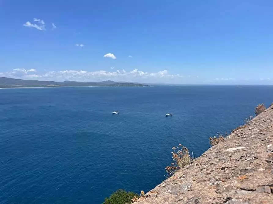 Immagine 15 di Cantina in vendita  in Forte La Rocca snc a Monte Argentario
