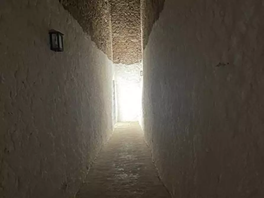 Immagine 16 di Cantina in vendita  in Forte La Rocca snc a Monte Argentario