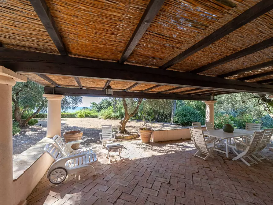 Immagine 4 di Villa in affitto  in Località Sbarcatello snc a Monte Argentario