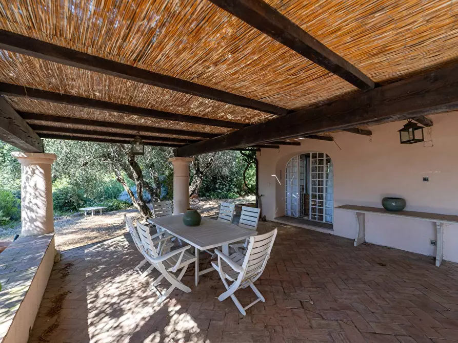 Immagine 26 di Villa in affitto  in Località Sbarcatello snc a Monte Argentario