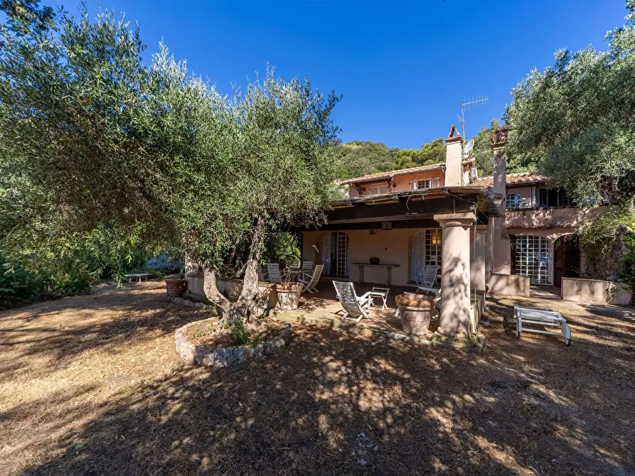 Immagine 27 di Villa in affitto  in Località Sbarcatello snc a Monte Argentario