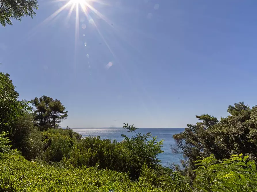 Immagine 3 di Villa in affitto  in Località Sbarcatello snc a Monte Argentario