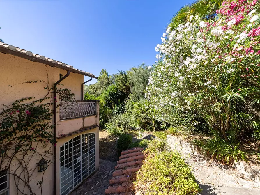 Immagine 29 di Villa in affitto  in Località Sbarcatello snc a Monte Argentario