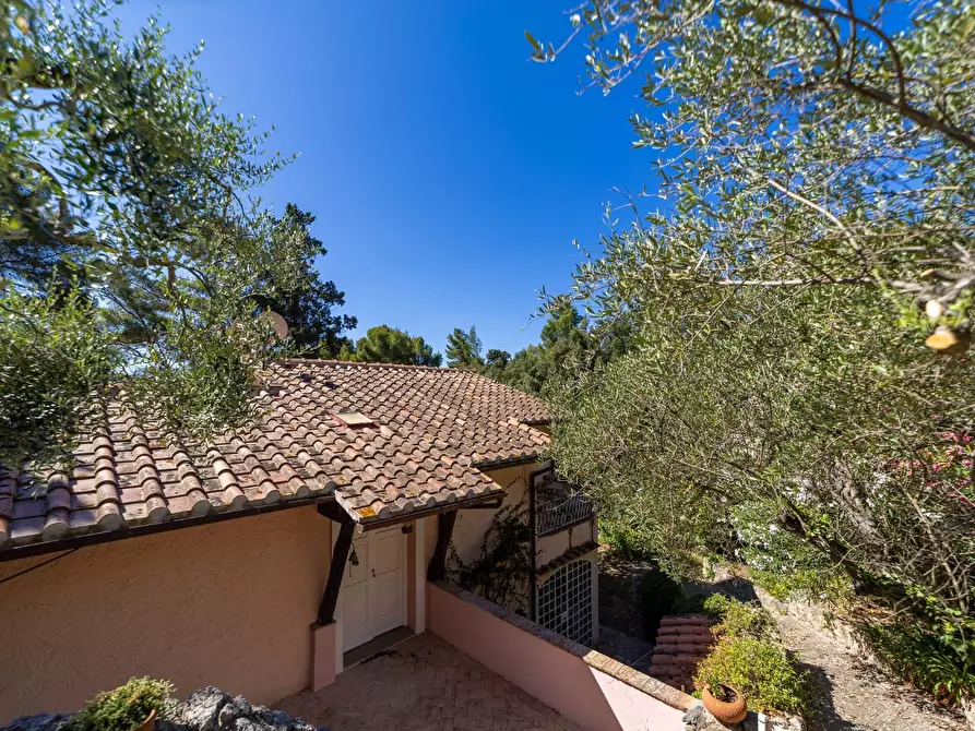 Immagine 31 di Villa in affitto  in Località Sbarcatello snc a Monte Argentario