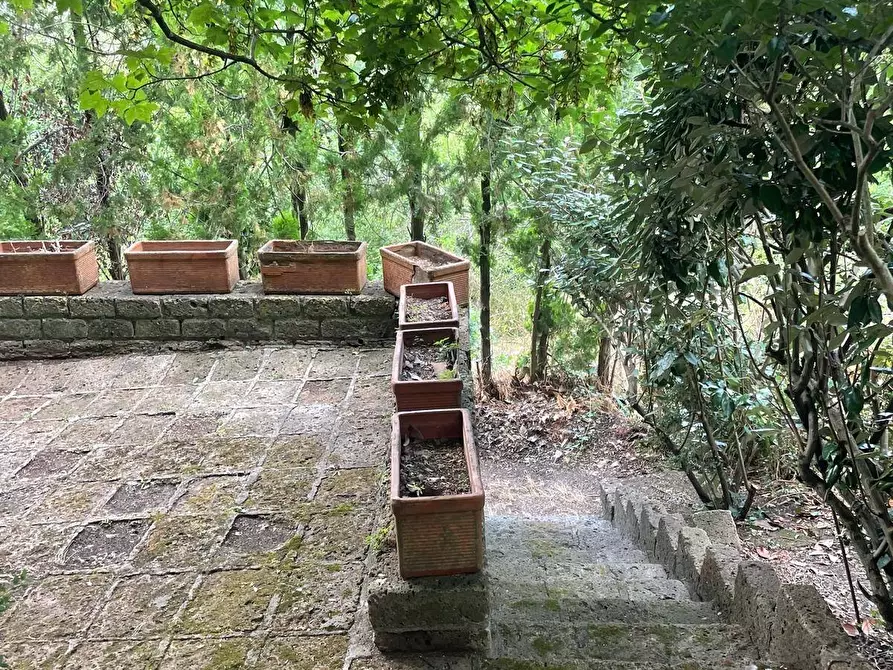 Immagine 28 di Casa indipendente in vendita  in Piazza Barbana snc a Scansano