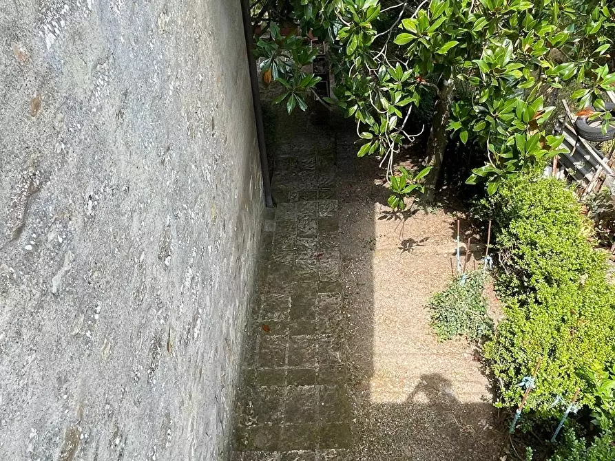 Immagine 29 di Casa indipendente in vendita  in Piazza Barbana snc a Scansano