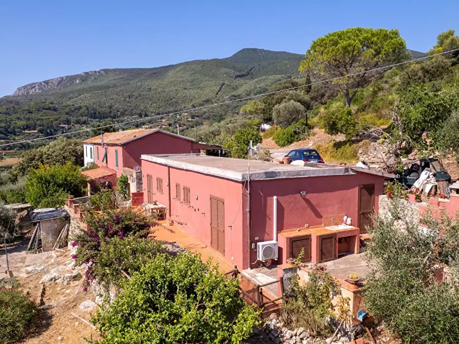 Immagine 2 di Casa indipendente in vendita  in Località Mandrioli snc a Monte Argentario