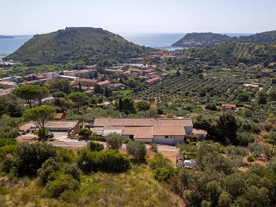 Immagine 3 di Casa indipendente in vendita  in Località Mandrioli snc a Monte Argentario