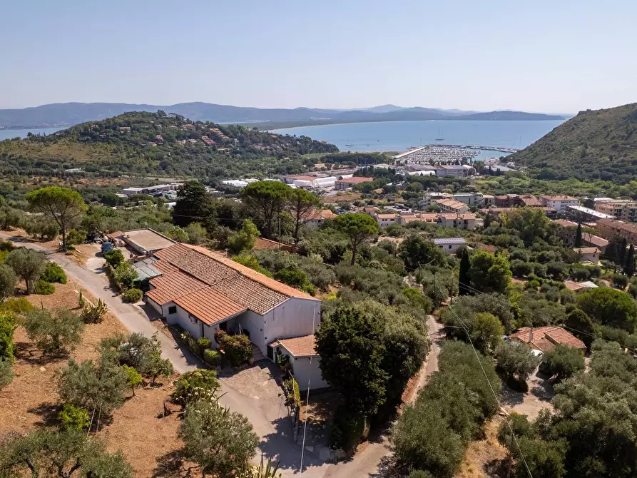 Immagine 4 di Casa indipendente in vendita  in Località Mandrioli snc a Monte Argentario