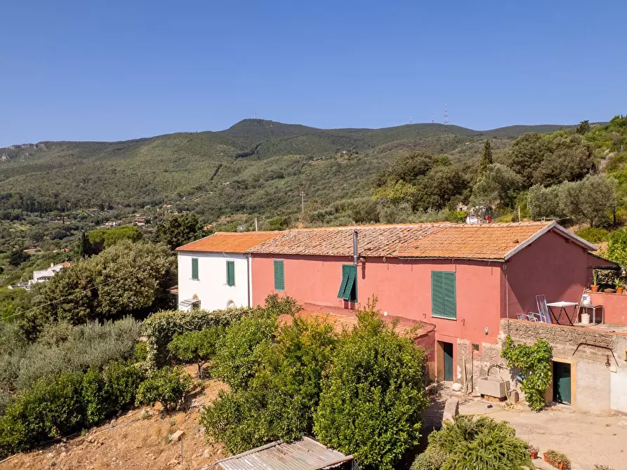 Immagine 7 di Casa indipendente in vendita  in Località Mandrioli snc a Monte Argentario