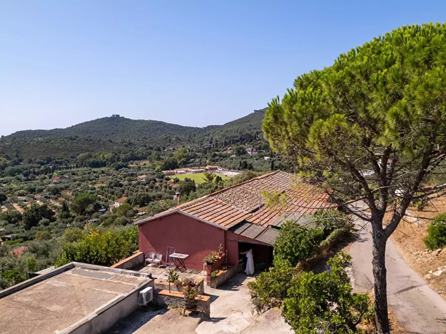 Immagine 8 di Casa indipendente in vendita  in Località Mandrioli snc a Monte Argentario