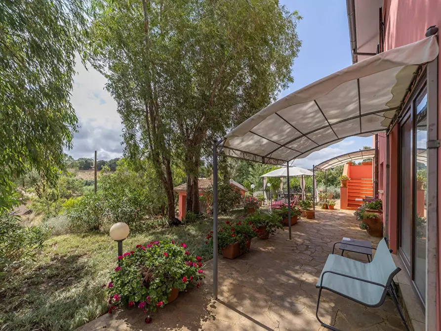 Immagine 22 di Azienda agricola in vendita  in magliano in toscana a Magliano In Toscana