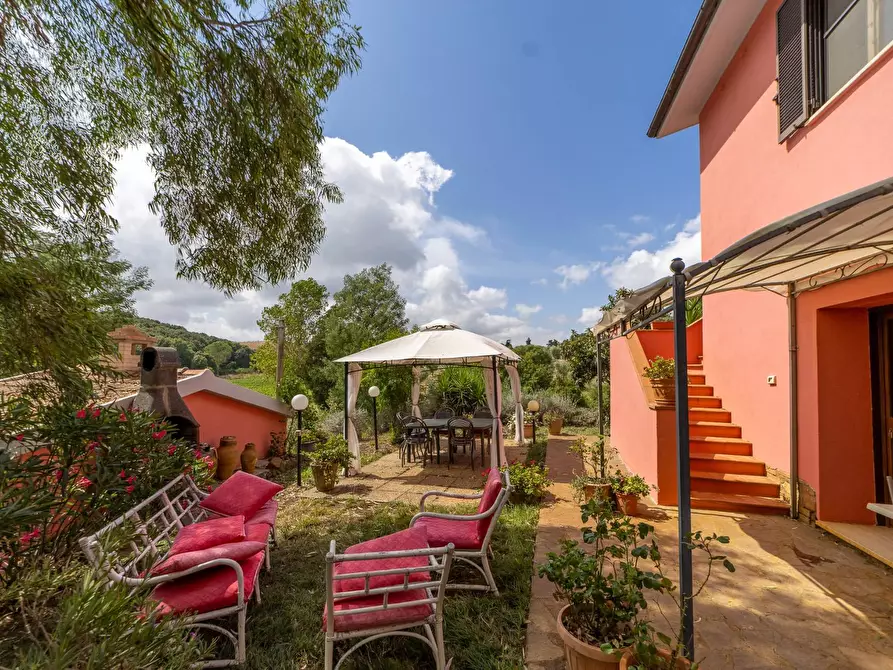 Immagine 23 di Azienda agricola in vendita  in magliano in toscana a Magliano In Toscana