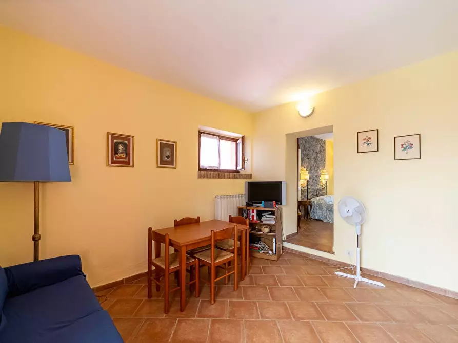 Immagine 29 di Azienda agricola in vendita  in magliano in toscana a Magliano In Toscana