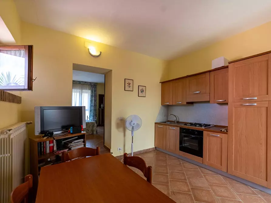 Immagine 30 di Azienda agricola in vendita  in magliano in toscana a Magliano In Toscana