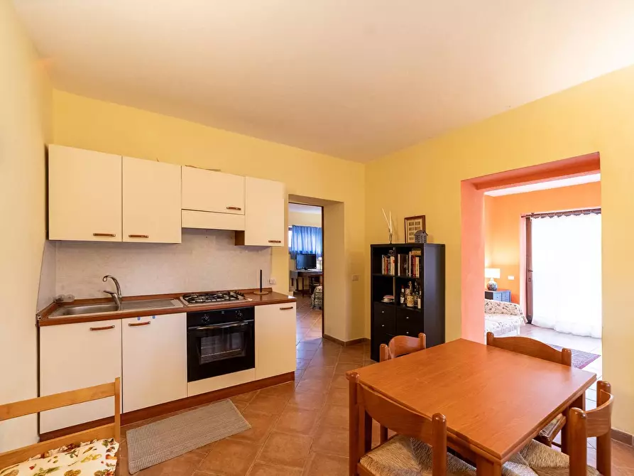 Immagine 33 di Azienda agricola in vendita  in magliano in toscana a Magliano In Toscana