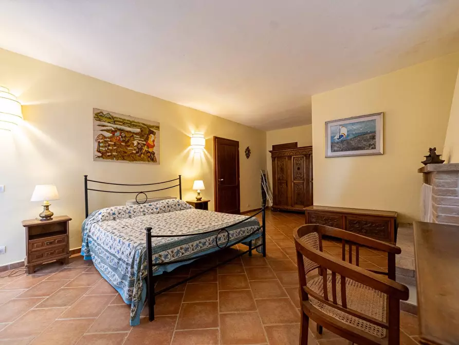 Immagine 34 di Azienda agricola in vendita  in magliano in toscana a Magliano In Toscana