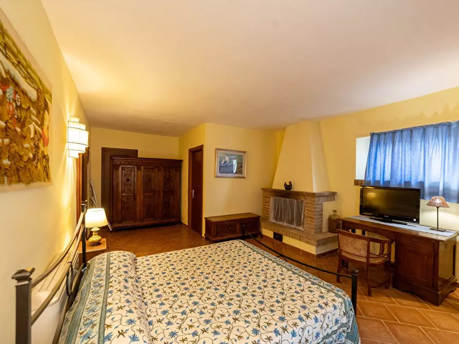 Immagine 35 di Azienda agricola in vendita  in magliano in toscana a Magliano In Toscana