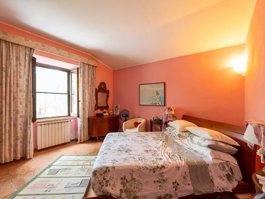 Immagine 38 di Azienda agricola in vendita  in magliano in toscana a Magliano In Toscana