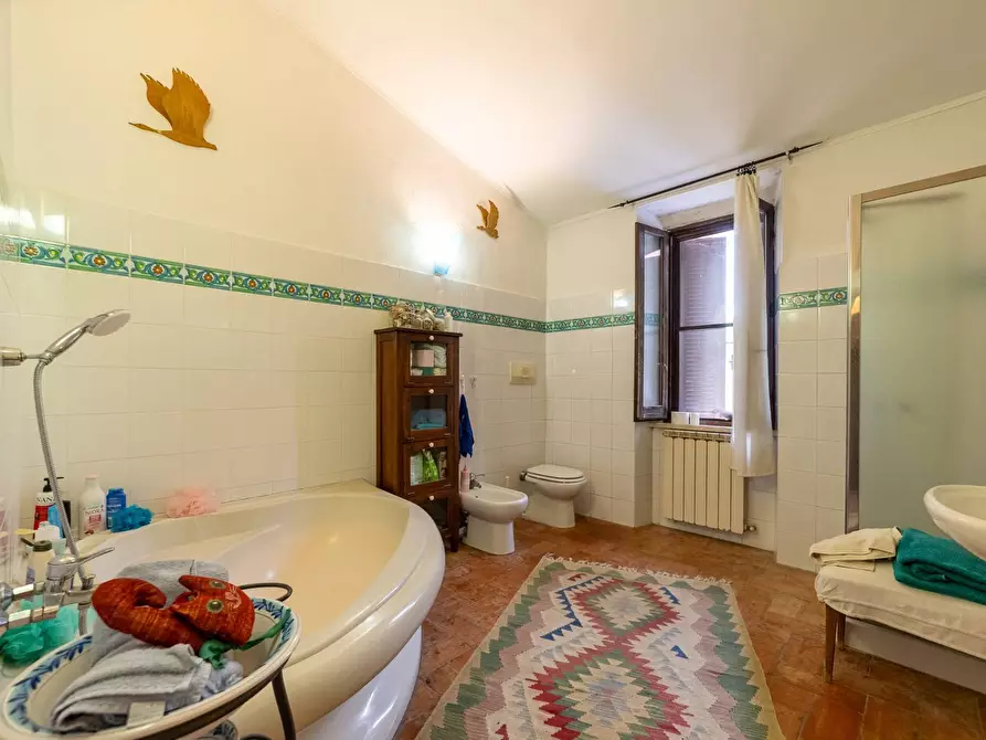 Immagine 39 di Azienda agricola in vendita  in magliano in toscana a Magliano In Toscana