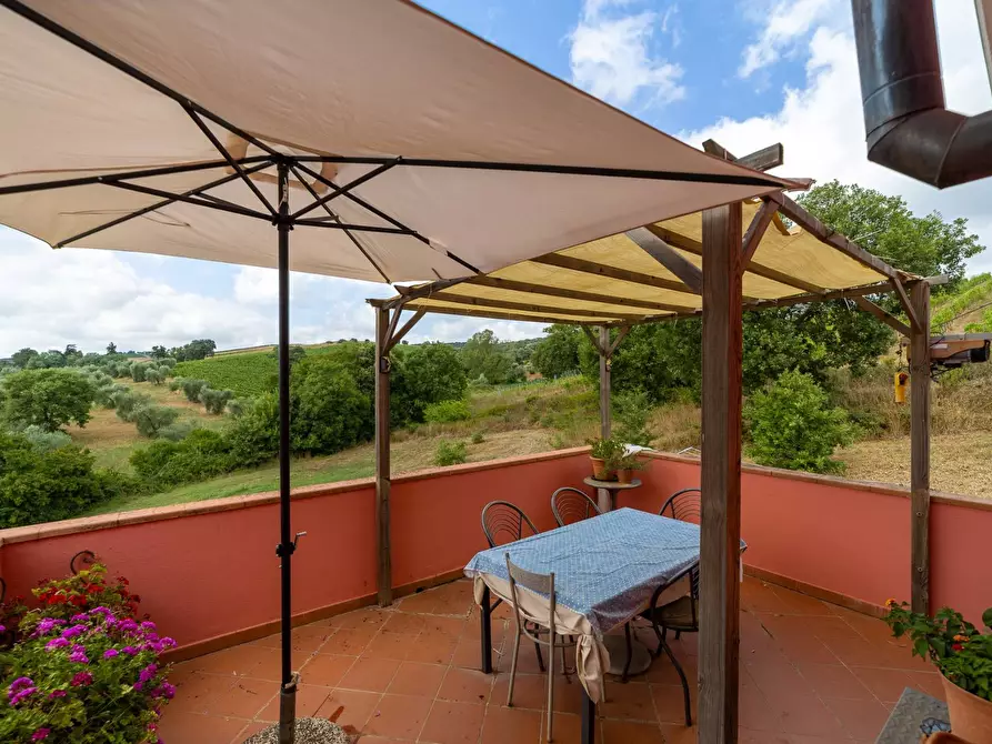 Immagine 42 di Azienda agricola in vendita  in magliano in toscana a Magliano In Toscana