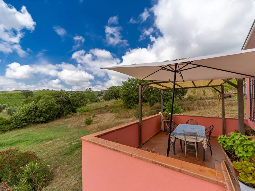 Immagine 43 di Azienda agricola in vendita  in magliano in toscana a Magliano In Toscana