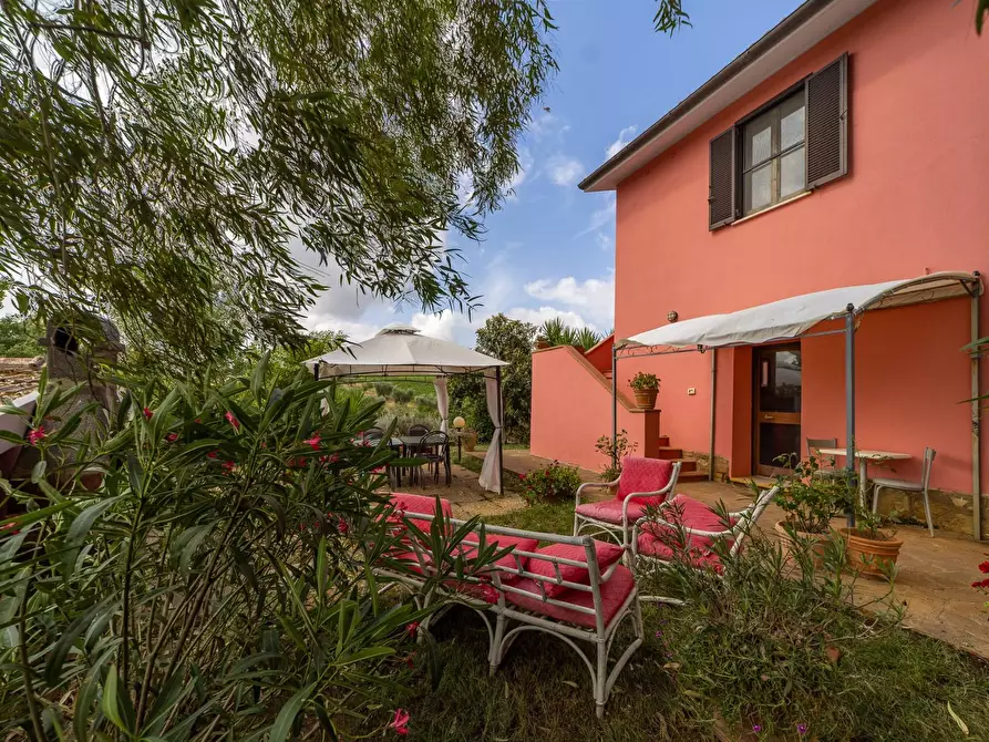 Immagine 47 di Azienda agricola in vendita  in magliano in toscana a Magliano In Toscana