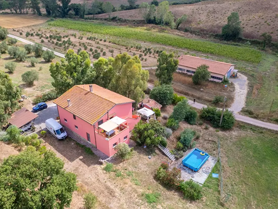 Immagine 49 di Azienda agricola in vendita  in magliano in toscana a Magliano In Toscana