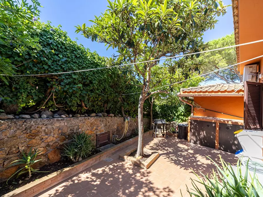 Immagine 19 di Appartamento in affitto  in Via del Pianone snc a Monte Argentario