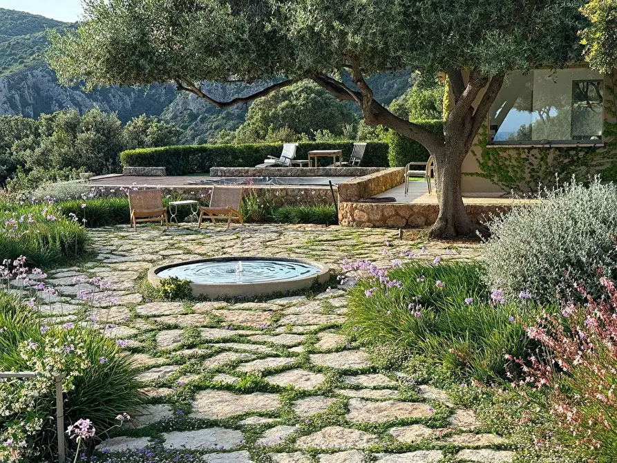 Immagine 19 di Villa in affitto  in Località Le Cannelle snc a Monte Argentario