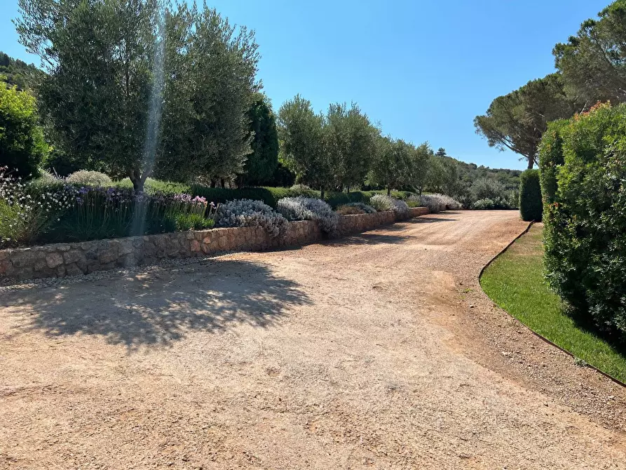 Immagine 21 di Villa in affitto  in Località Le Cannelle snc a Monte Argentario