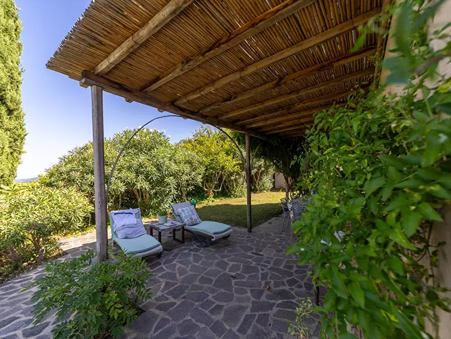 Immagine 6 di Villa in affitto  in Via Lividonia alta snc a Monte Argentario