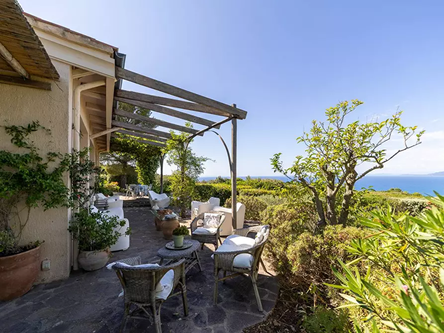 Immagine 7 di Villa in affitto  in Via Lividonia alta snc a Monte Argentario