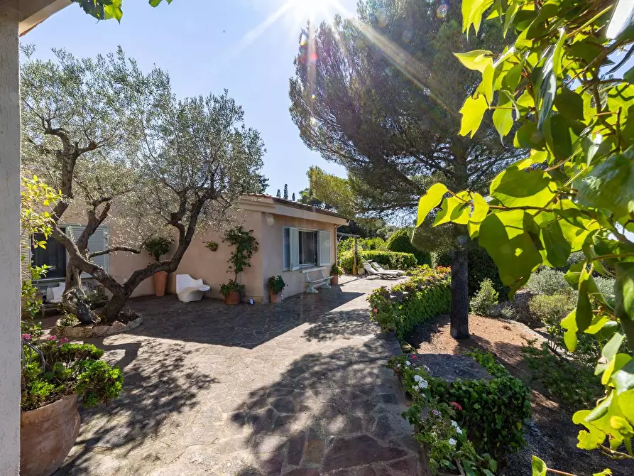 Immagine 10 di Villa in affitto  in Via Lividonia alta snc a Monte Argentario
