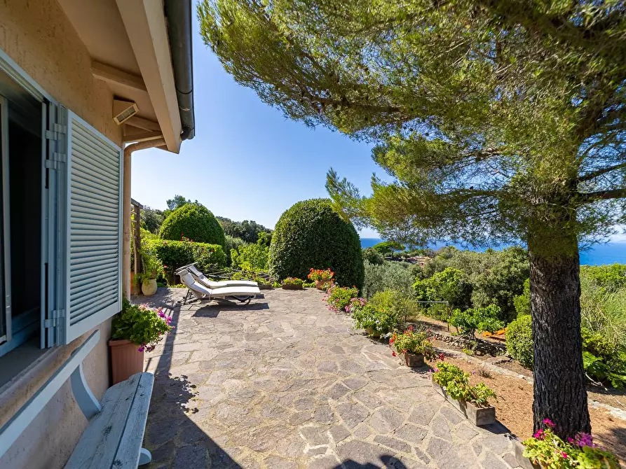 Immagine 11 di Villa in affitto  in Via Lividonia alta snc a Monte Argentario