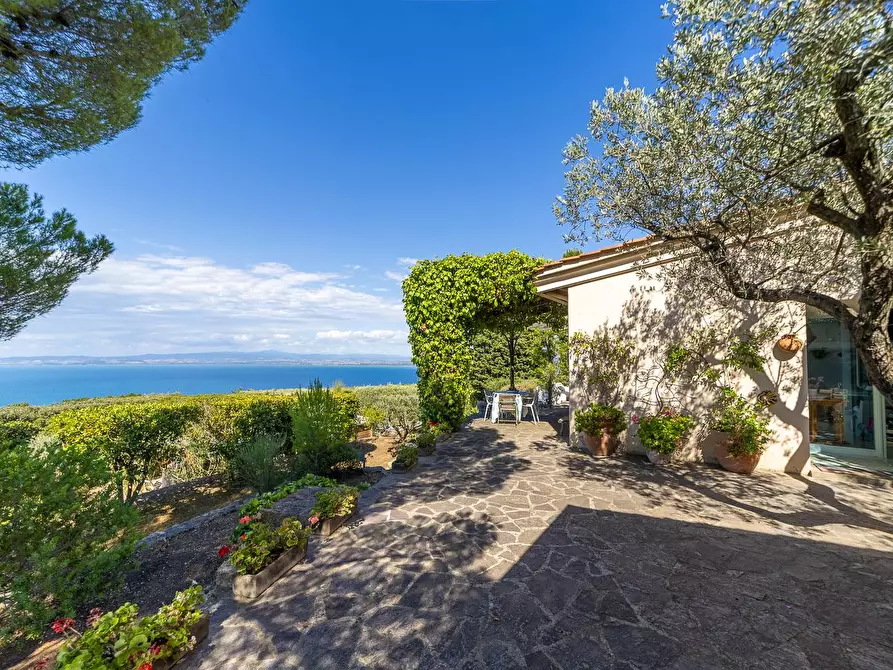 Immagine 12 di Villa in affitto  in Via Lividonia alta snc a Monte Argentario