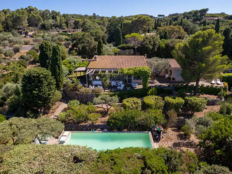 Immagine 2 di Villa in affitto  in Via Lividonia alta snc a Monte Argentario