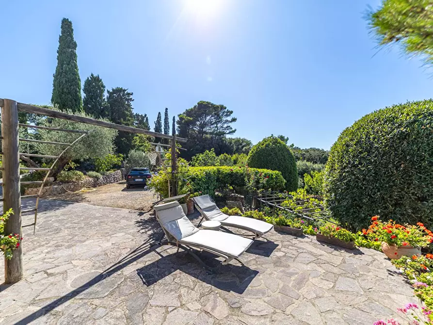 Immagine 13 di Villa in affitto  in Via Lividonia alta snc a Monte Argentario