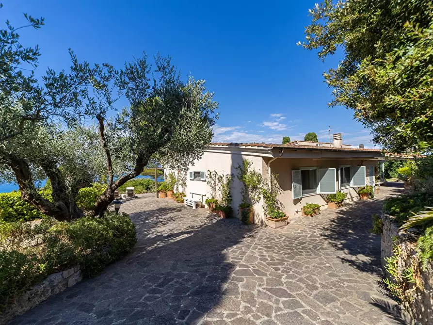 Immagine 15 di Villa in affitto  in Via Lividonia alta snc a Monte Argentario