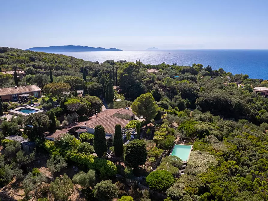 Immagine 16 di Villa in affitto  in Via Lividonia alta snc a Monte Argentario