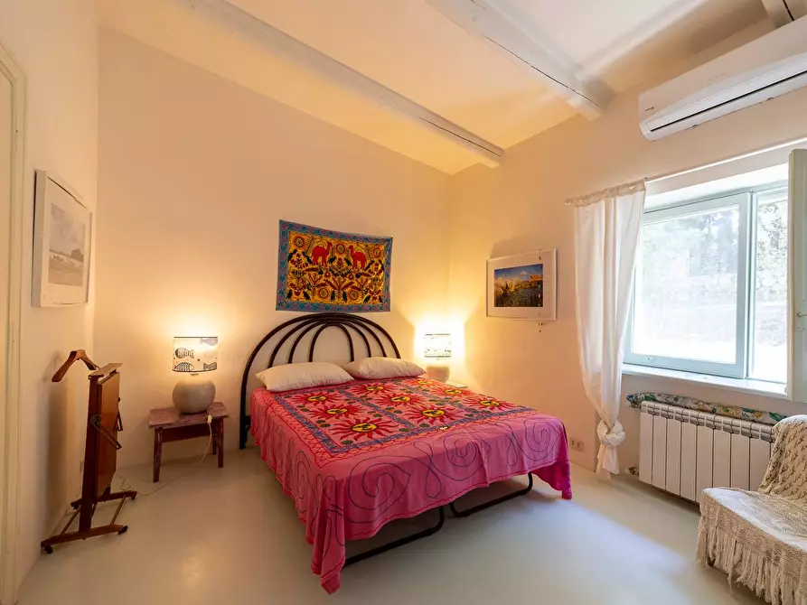 Immagine 23 di Villa in affitto  in Via Lividonia alta snc a Monte Argentario