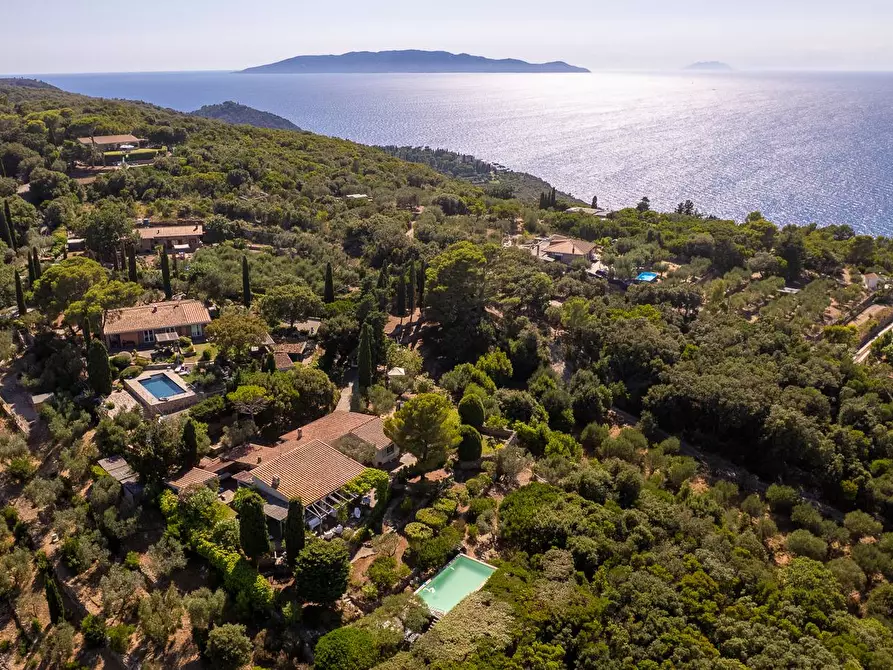 Immagine 28 di Villa in affitto  in Via Lividonia alta snc a Monte Argentario