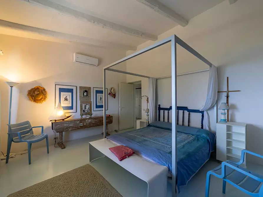 Immagine 30 di Villa in affitto  in Via Lividonia alta snc a Monte Argentario