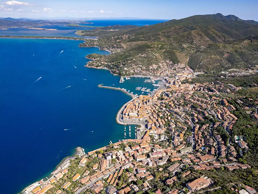 Immagine 31 di Villa in affitto  in Via Lividonia alta snc a Monte Argentario