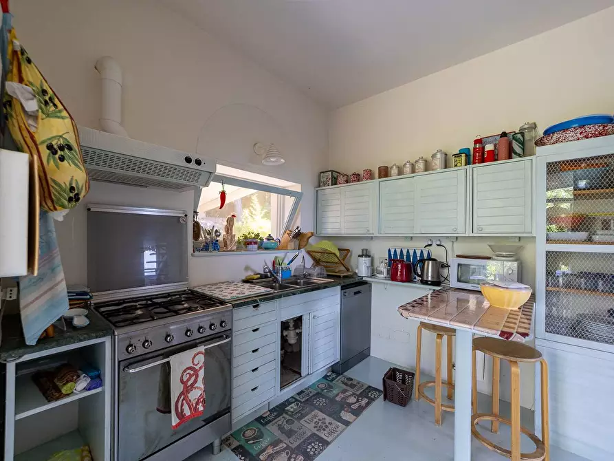 Immagine 40 di Villa in affitto  in Via Lividonia alta snc a Monte Argentario