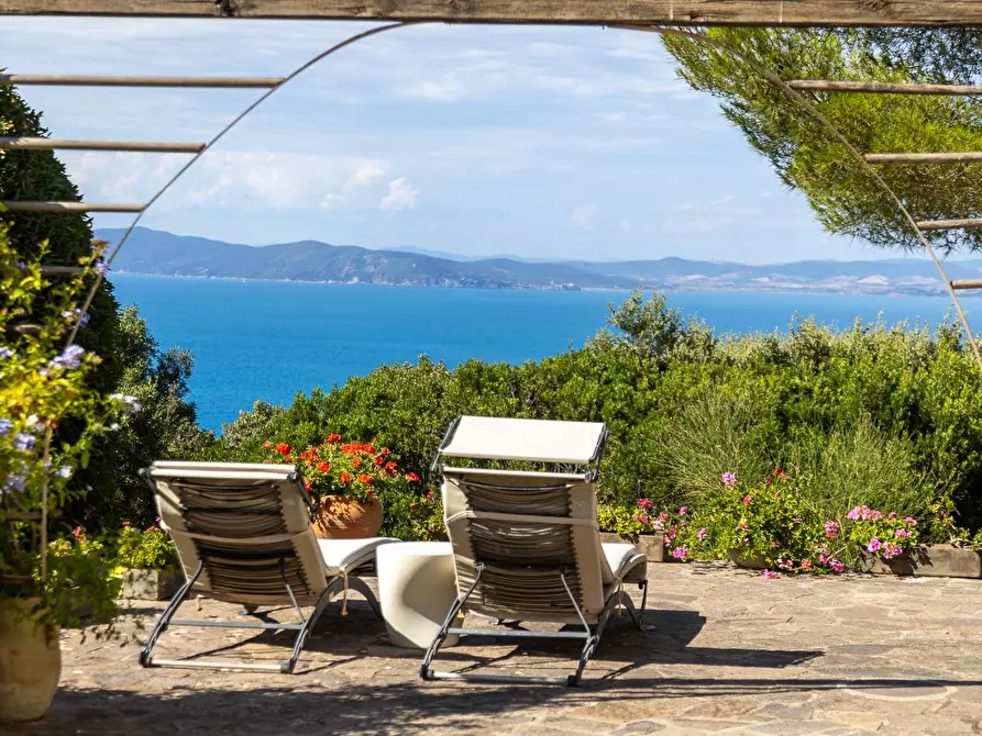 casa indipendente in affitto a Monte Argentario in zona Porto Santo Stefano