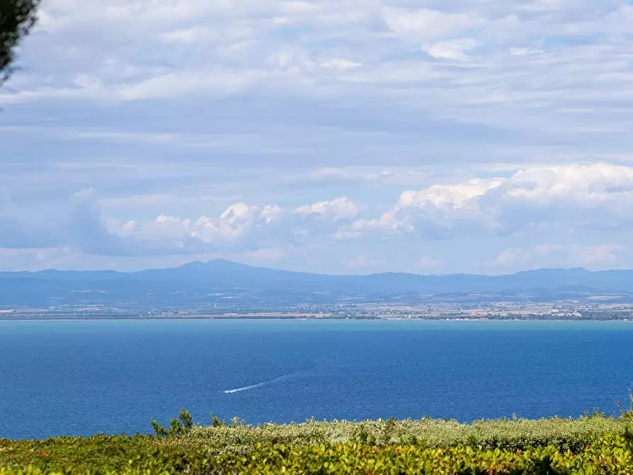 Immagine 44 di Villa in affitto  in Via Lividonia alta snc a Monte Argentario