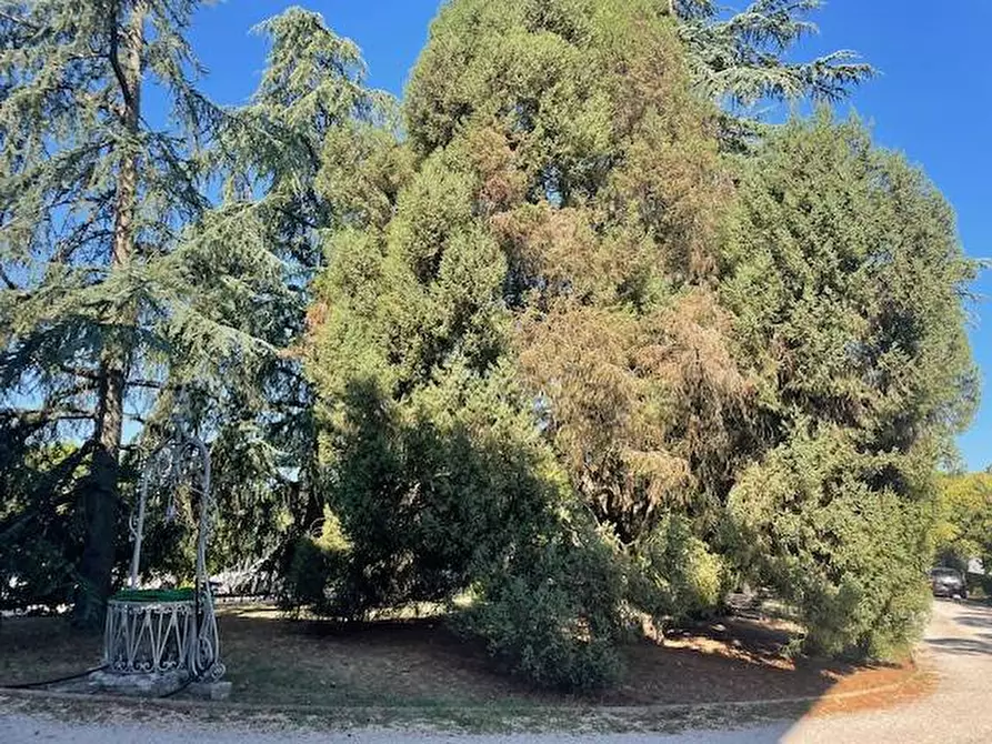 Immagine 24 di Appartamento in vendita  in Strada chiantigiana 52 a Siena